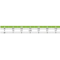 200X Spanplattenschrauben Linsensenkkopf Kreuzschlitz A2 Edelstahl 3x25