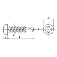 500 X Bohrschrauben mit Linsenkopf, Form M DIN 7504  1.4006  M 4,8X25 TX25