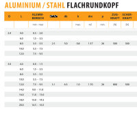 6,4 X 40,0 250 Stk. Aluminium / Stahl Flachkopf Blindnieten