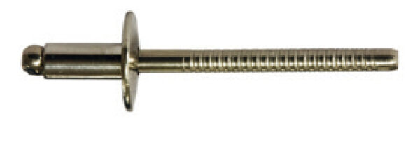 4,8 X 14,0 mm 250 Stück Edelstahl A2 / Edelstahl A2 Grosskopf Blindnieten